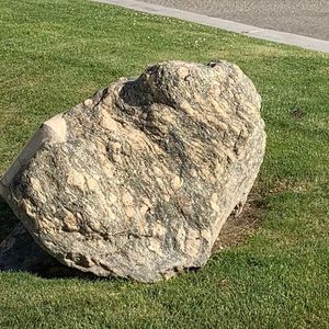 Meet your Posher, Barry